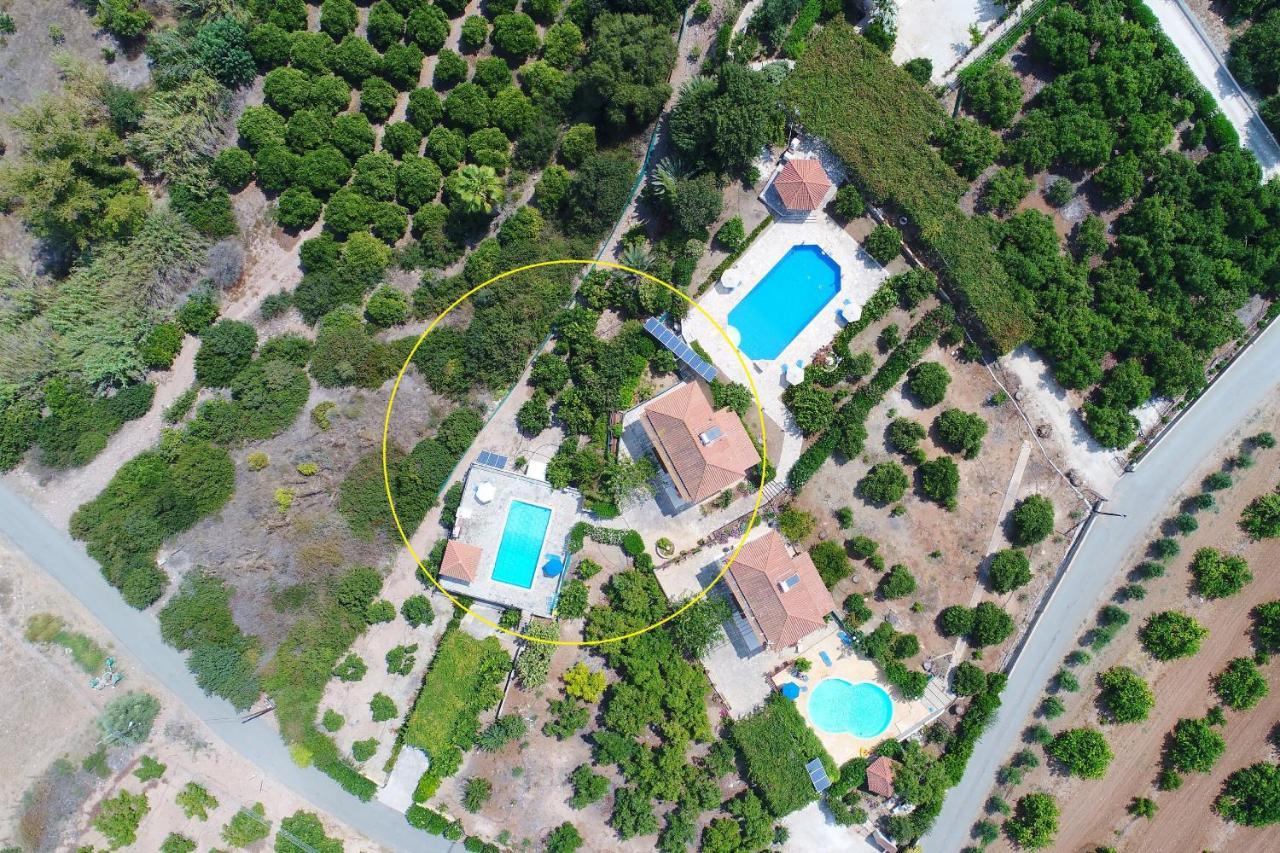 Aphrodite Finiki Polis