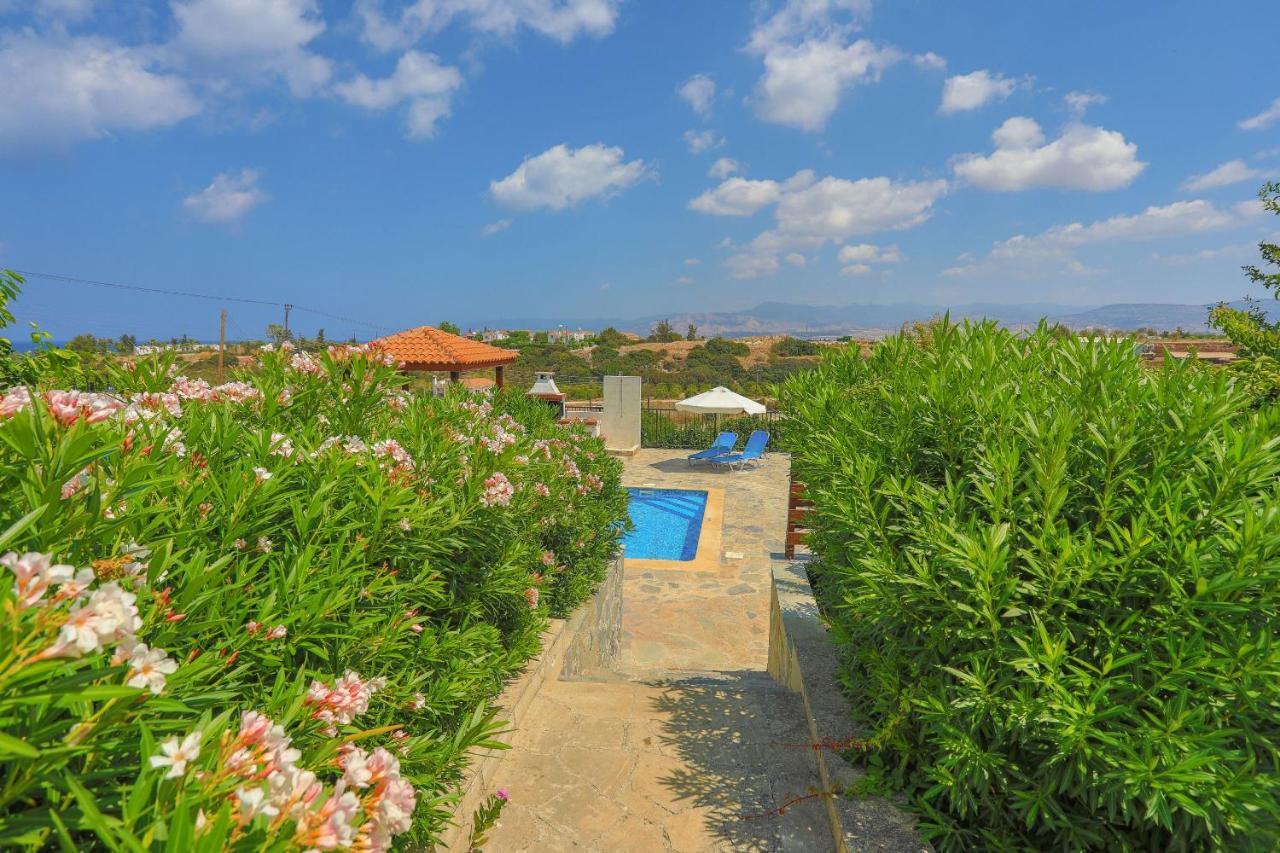 Aphrodite Finiki Polis
